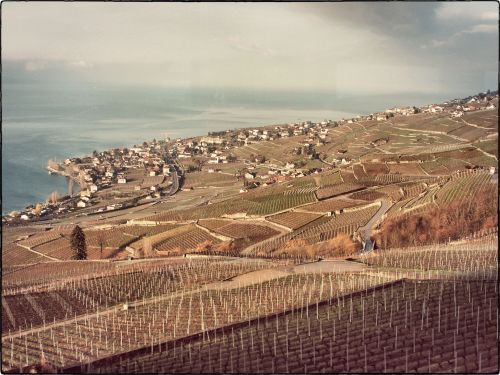Retour en Romandie, une des plus belles vues au monde...