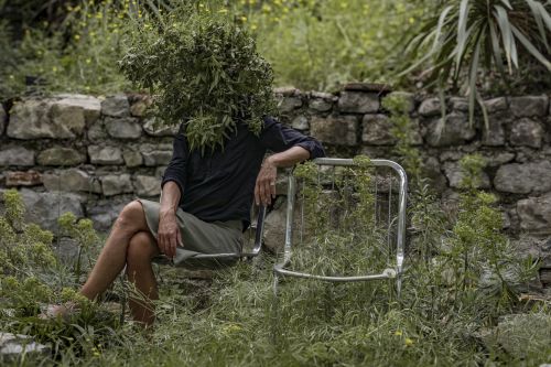 uneparjour#466
greening zombie